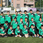 Pulcini2005web